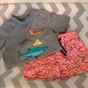 Toddler Boys swim trunks & rash guard